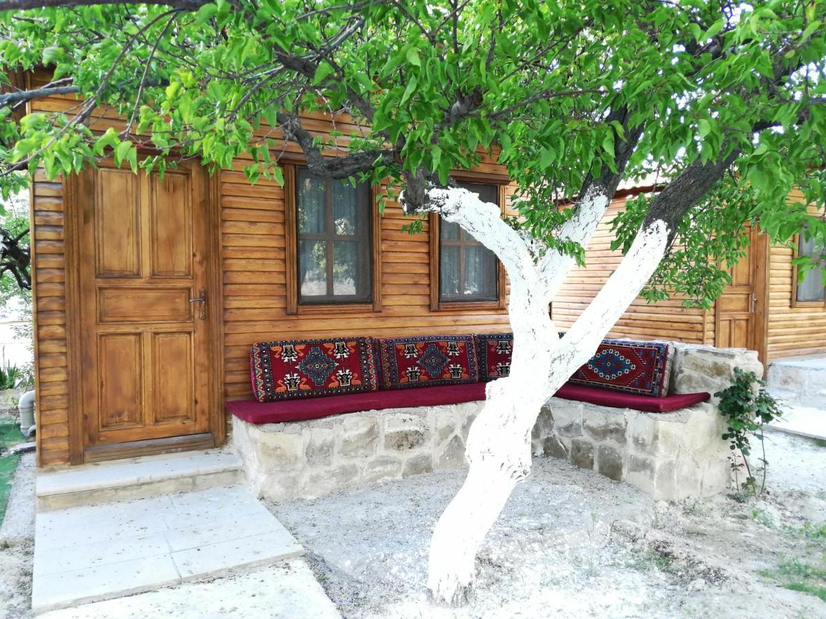 Seven Rock Cave Hostel *